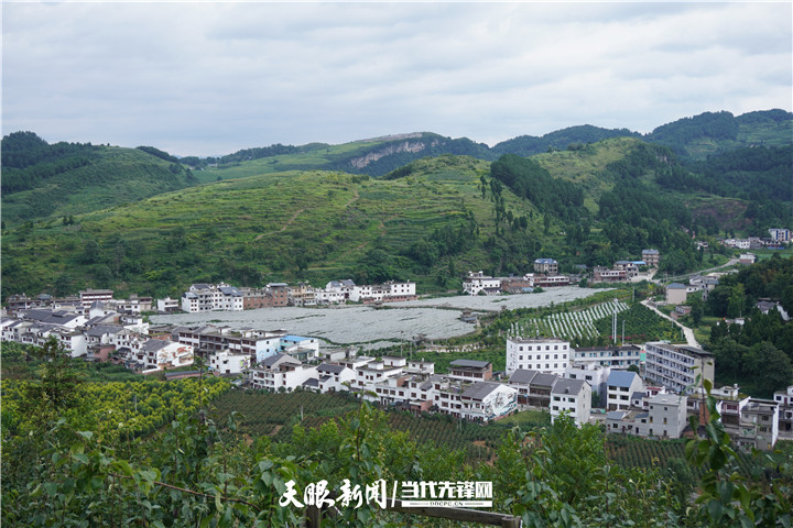 新华社关注贵州桐梓:一个山区农业小镇的转型之路