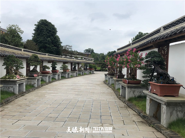 龙江村建起的盆景园.jpg