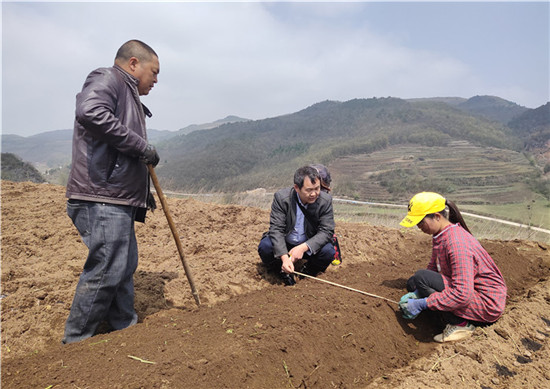 林长松（中）在中药材基地向农民传授种植技术.jpg