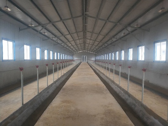 赫章县:大寨村牛场完工并顺利通过验收