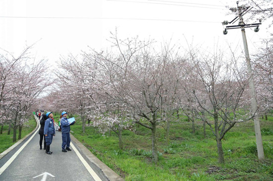 贵州电网贵安供电局工作人员对樱花园线路进行巡视1——胥芬芳（摄）_副本.jpg