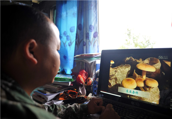 10月8日，在贵州省台江县台盘乡红光村，李东在网上学习茶树菇种植技术。.jpg