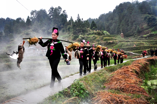 雷山苗寨的农民抬着鸡鸭鱼肉回娘家与父母共度农民丰收节.JPG