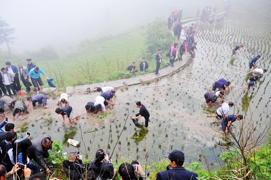 雷山县各村寨举行趣味十足的捉鱼比赛欢度农民丰收节.jpg