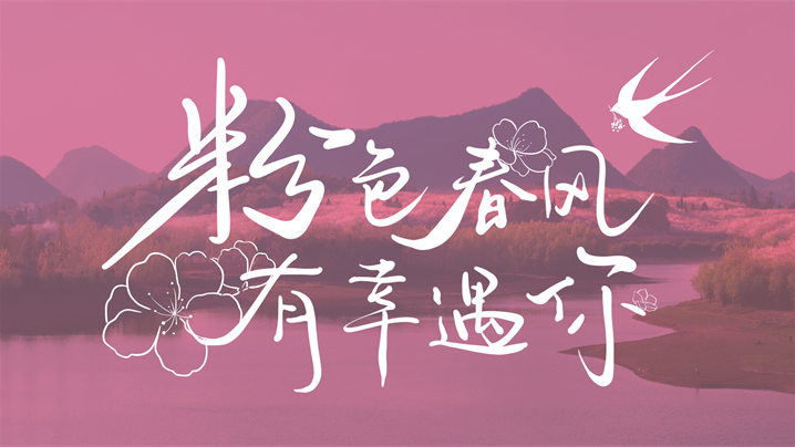 多彩贵州之樱粉｜是浪漫也是温柔，邂逅一场粉色樱花雨